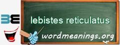 WordMeaning blackboard for lebistes reticulatus